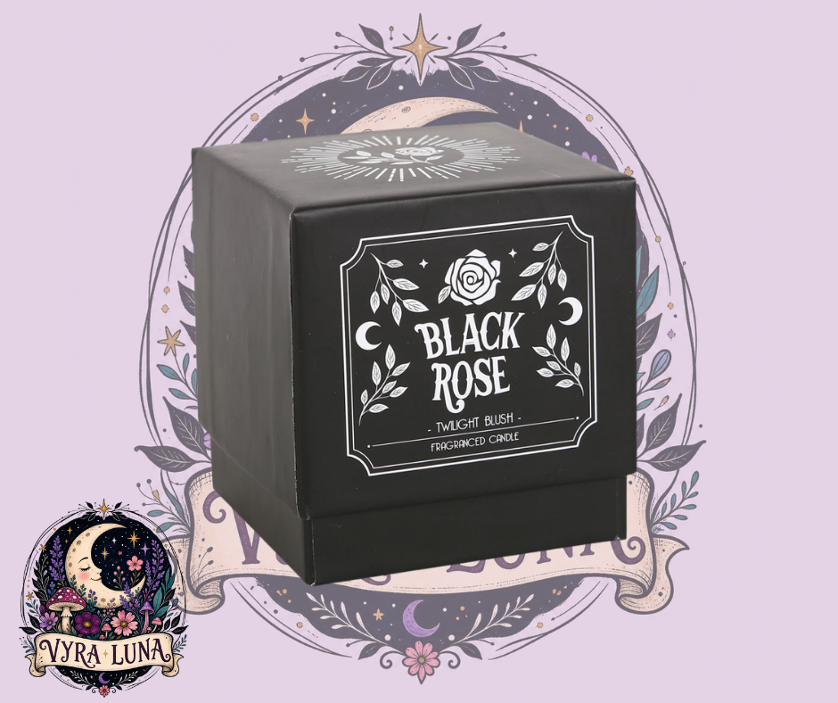 Black Rose Candle | Twilight Blush
